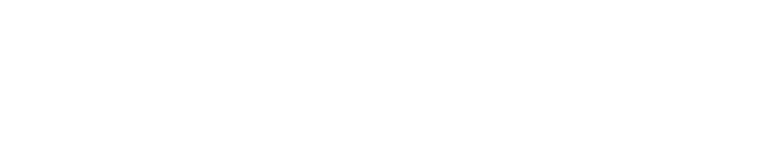 DriveLock white logo