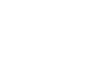 Datamonitoring